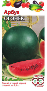Арбуз Огонек  купить