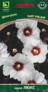 Шток-роза Найт энд Дэй  купить