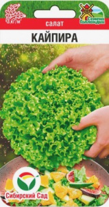 Салат Кайпира купить