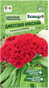 Целозия гребенчатая Джессика красная  купить