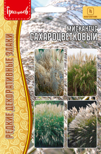 Мискантус Сахароцветковый купить