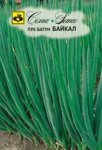 Лук Байкал, батун купить