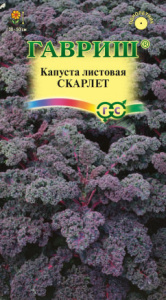 Капуста (листовая) Скарлет   купить