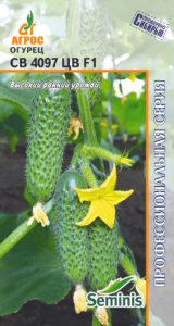 Огурец СВ 4097 F1  купить