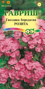 Гвоздика Розита турецкая купить
