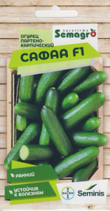 Огурец Сафаа F1  купить