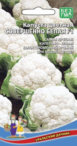 Капуста (цветная) Совершенно Белая F1 купить