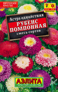 Астра Рубенс помпонная, смесь сортов купить