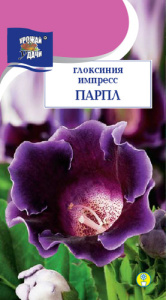 Глоксиния Импресс Парпл  купить