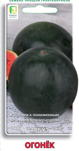 Арбуз Огонек купить