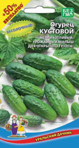 Огурец Кустовой  купить