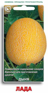 Дыня Лада купить