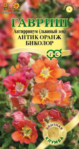 Антирринум Антик Оранж биколор Элитная клумба купить