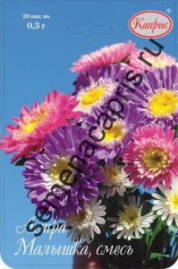 Астра смесь Малышка/1шт купить