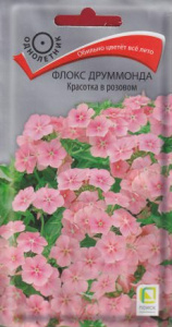 Флокс друммонда Красотка в розовом купить