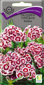 Гвоздика Княжна турецкая купить