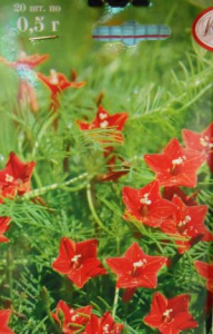 Ипомея квамоклит Новогодняя елочка/1шт купить