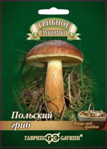 Польский гриб на зерновом субстрате  купить