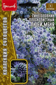 Синеголовник Люби-Меня плосколистный  купить