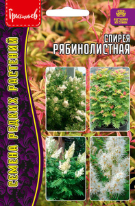 Спирея Рябинолистная купить