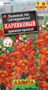Львиный зев карликовый оранжево-красный купить