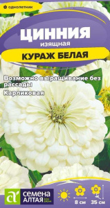 Цинния Кураж Белая карликовая купить