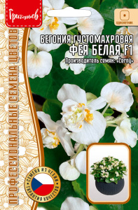 Бегония Фея F1 Белая  густомахровая  купить