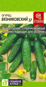 Огурец Вязниковский 37 купить
