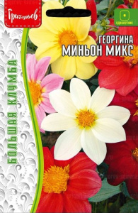 Георгина Миньон Микс (Mignon Mix) купить