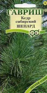 Кедр сибирский Шепард 3шт купить