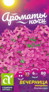 Вечерница Матроны Белая купить