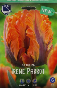 Тюльпан попугайный "Irene Parrot" (1х10шт) купить