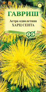 Астра Харц Сента  (тонкоигольчая желтая)  купить