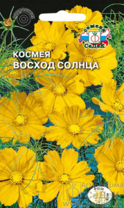 Космея Восход солнца  купить