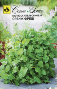 Мелисса апельсиновая Оранж Фреш  купить