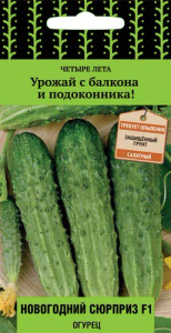 Огурец Новогодний сюрприз F1  Четыре лета купить