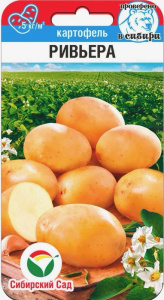 Картофель (семена) Ривьера купить