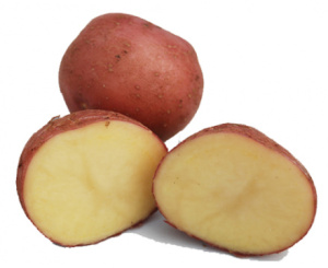 Картофель семенной Шарвари Пирошка 2кг (суперэлита) купить