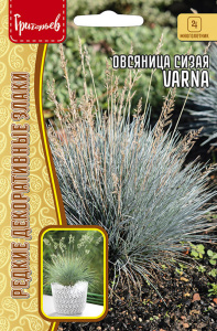 Овсяница сизая Varna  купить