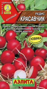Редис Красавчик купить