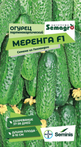 Огурец Меренга F1  купить