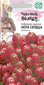 Лобулярия Нота Сердца  купить