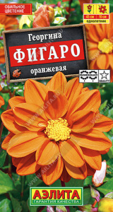 Георгина Фигаро Оранжевая махровая купить