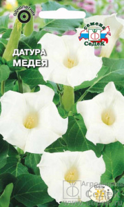 Датура Медея  купить