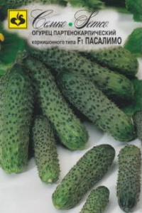 Огурец Пасалимо F1  купить