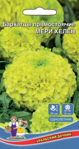 Бархатцы Мери Хелен (крупноцветковый,лимонно-желтый) купить