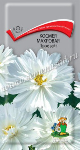 Космея махровая Психе Вайт купить