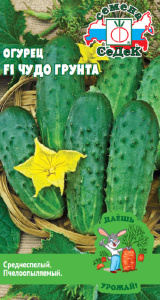 Огурец Чудо Грунта F1 ДУ купить