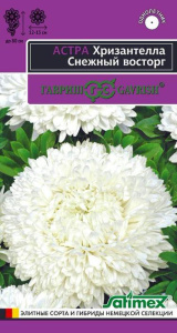Астра Хризантелла Снежный восторг  купить