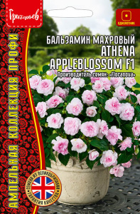 Бальзамин Афина F1 Яблоневый цвет (Athena Appleblosso)  амп. купить